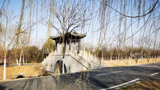 大圩生態農業旅遊景區