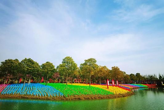 关于崇明的春天~微风、野花、风筝