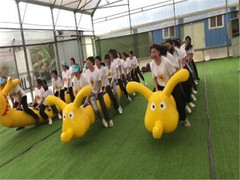 深圳游记图片] 深圳凤凰山田中园生态休闲拓展一日游