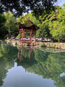 清溪园-都江堰-山茶叶蛋糕