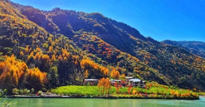 依山傍水！汶川卧龙这家山林民宿，想不火都难！