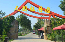 天囿牡丹园-洛阳-C-IMAGE