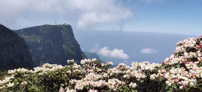 邂逅一生中72小时的峨眉