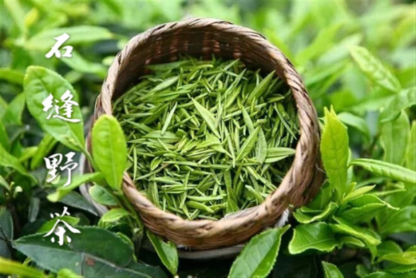 茶叶品牌哪个好？中国十大茶叶排行榜排名推荐