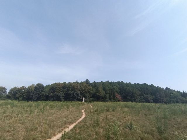 隋文帝泰陵旅行图片 2