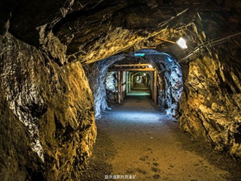 来波兰,一定要带孩子经历的10种美好体验