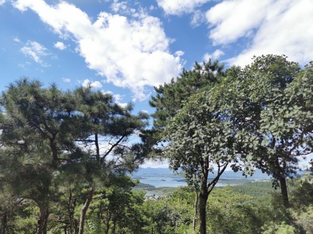 大石山森林公园旅行图片 7