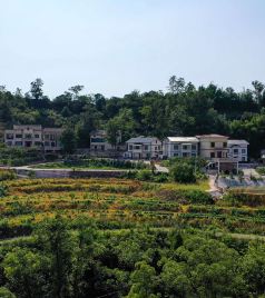 木耳镇游记图文-秋游木耳|渝北乡野间的山河的脉动