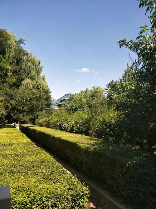 呼和浩特市植物园旅行图片 1