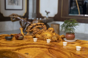 仁寿游记图文-瞧！枯木逢“春”的艺术，在仁寿！