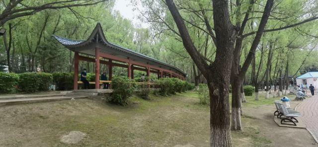 德惠公园旅行图片 6