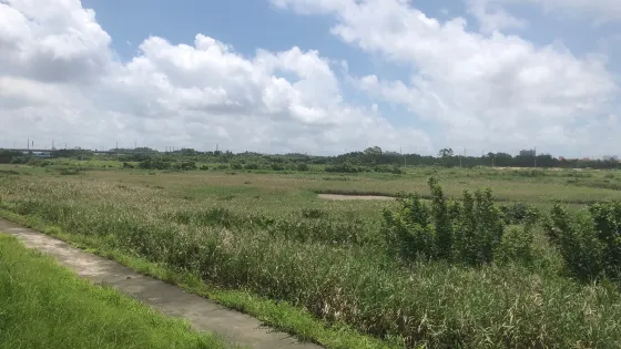 防城港濕地公園