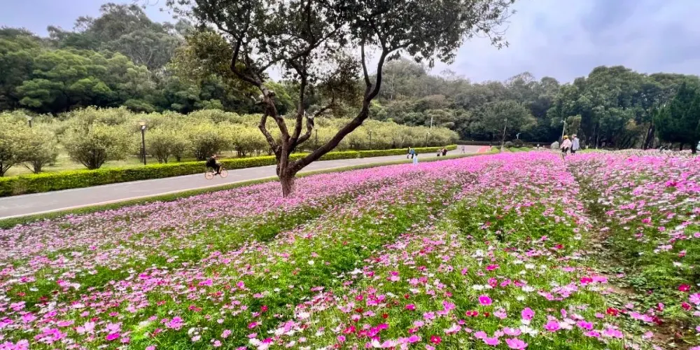永安旅遊