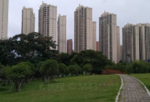 五一公园景点图片