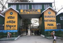 Bardia National Park景点图片