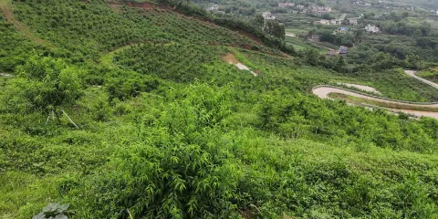 牛灘觀鬥山桃花源