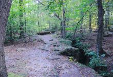 Nelson-Kennedy Ledges State Park景点图片