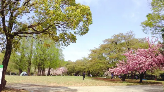 大宮第二公園