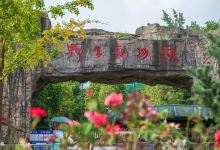 合肥野生动物园景点图片