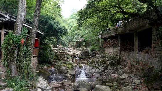 楠木溪