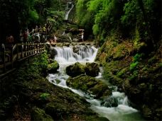黑山谷风景区-重庆-天羽博士