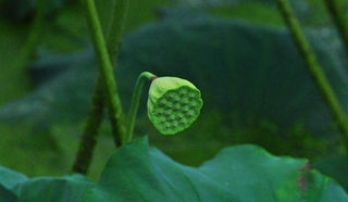 燕都古城丨国庆畅玩路线,保定旅游哪里强!(一)