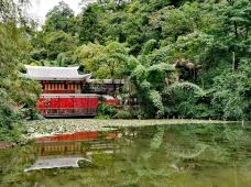 黔灵山公园-贵阳-快乐的美食家兔兔