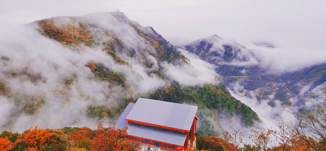 又是一年红叶时 ,相约醉美龙头山