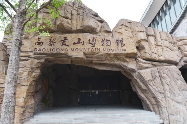 在腾冲高黎贡山博物馆，开启一段探索自然的奇幻旅程