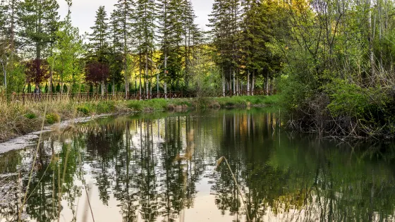 丁塘河濕地公園