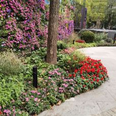 新世纪广场-城固-zixunshi99