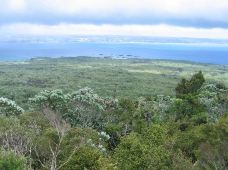 豪拉基湾-奥克兰-多多