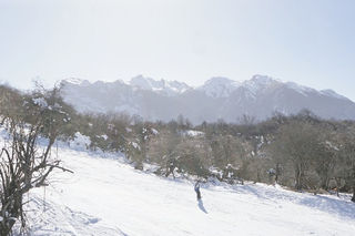 [舌尖奇遇记] /饕鬄美食宴，蓉城艳天下!