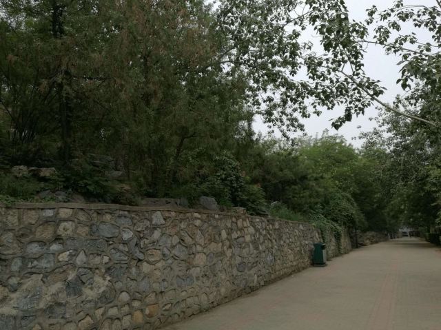 东单公园旅行图片 7