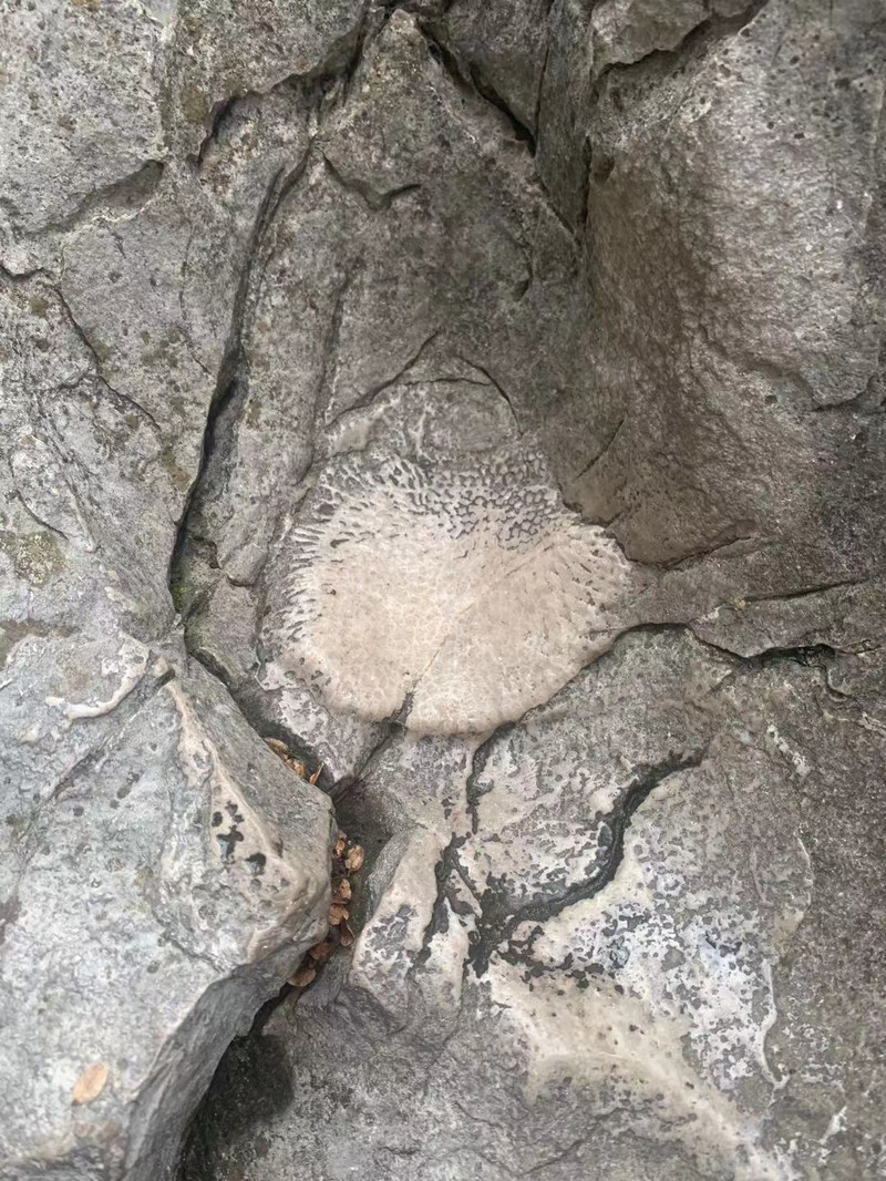 昆明旅游网