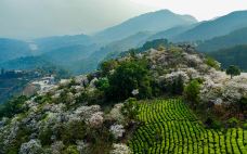 德宏仙佛洞旅游景区-芒市-C-IMAGE