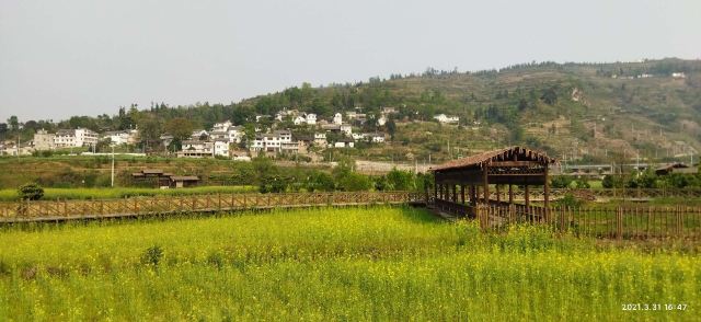 清龙十里画廊水头寨旅行图片 3