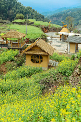 赣州崇义|看梯田万亩，在森林公园看桃花肆意绽放