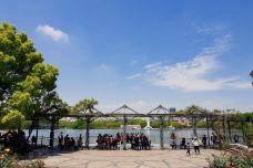 杨浦公园-上海-左海金沙