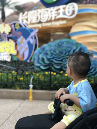 【干货分享】珠海广州长隆亲子游