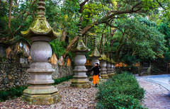 浙江天台山游记图片] 初冬，到浙里寻找秋天的影子，国清寺，寒山湖，南黄古道二日游