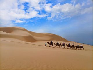 内蒙呼和浩特沙漠草原之旅|开启疯狂模式