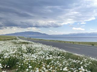 2021年7月用15天初识新疆（喀纳斯、禾木、赛里木湖、夏塔、独库公路）