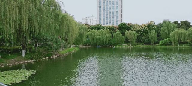 后襄河公园旅行图片 13