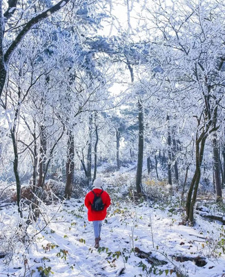 宁波冬季出游攻略，本周末宁波很有可能会下雪！赏雪攻略请收好