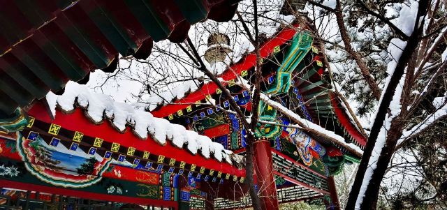 宣武艺园旅行图片 1