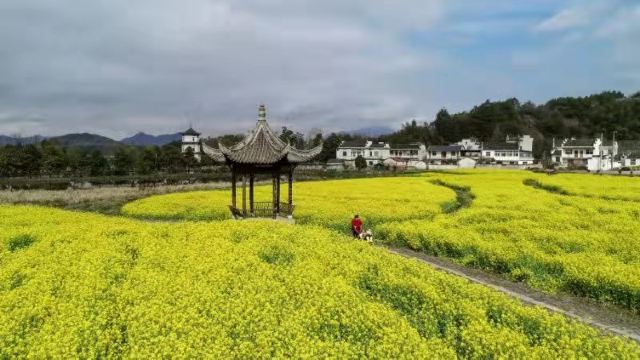 江村旅行图片 3