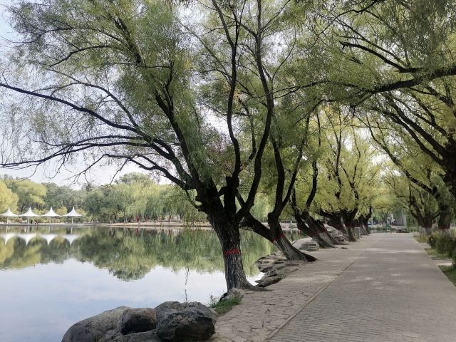 翠湖公园旅行图片 2