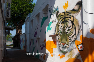 澳门路环岛的谭公庙内，一条两米鱼骨作成的龙舟，是镇庙之宝