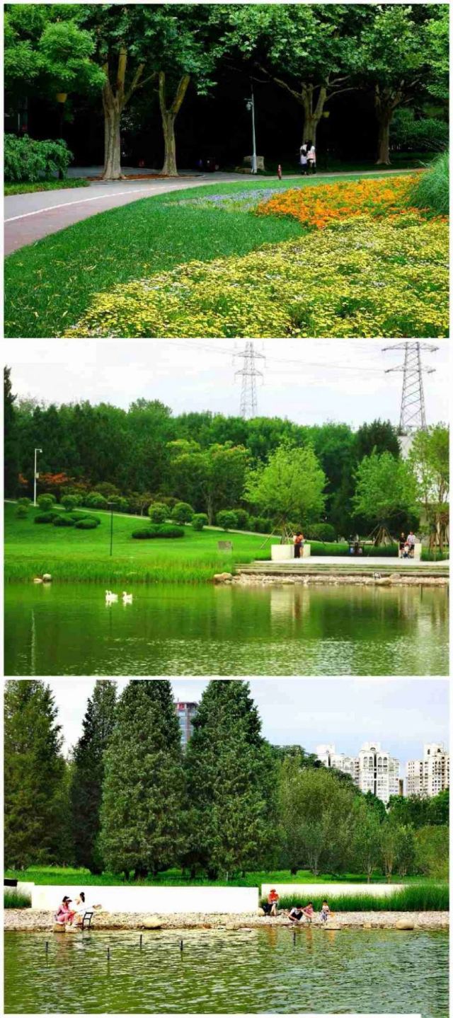 四得公园旅行图片 2